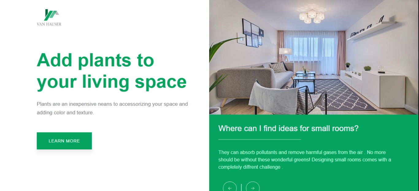 Website Design