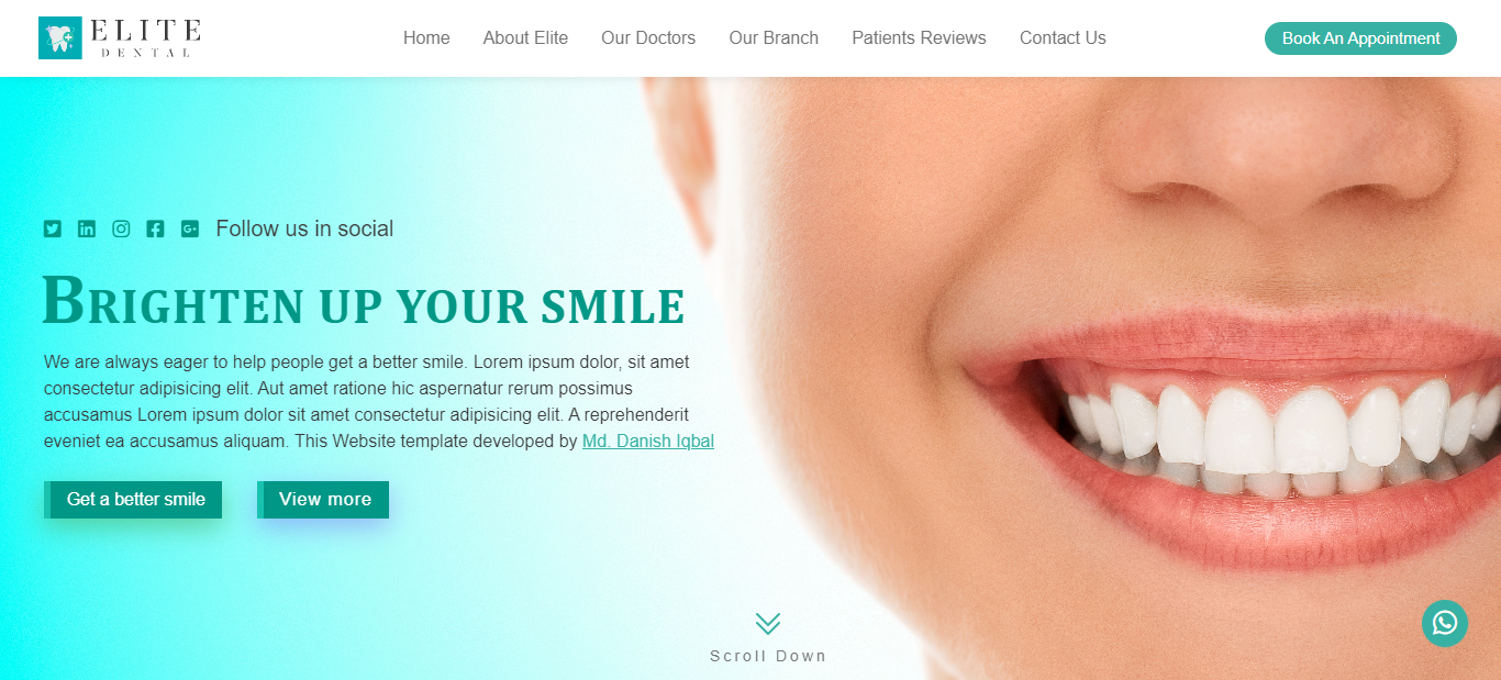 ELite Dental, Health & Medical Website